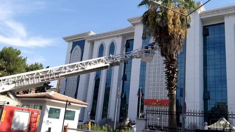 Yuvasından düşen kuşu itfaiye kurtardı  