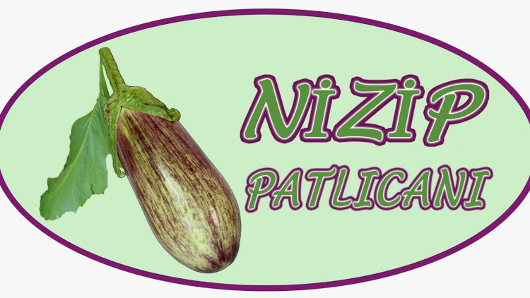 NTO Nizip Patlıcanı’nı Tescilledi
