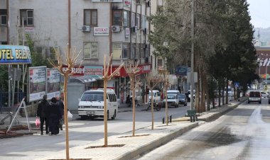Başkan Sarı ağaçlandırma çalışmasına katıldı