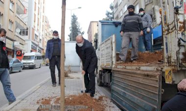 Başkan Sarı ağaçlandırma çalışmasına katıldı