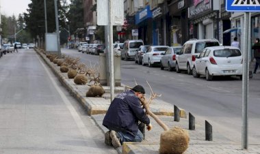 Başkan Sarı ağaçlandırma çalışmasına katıldı