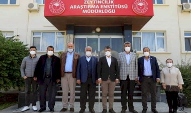 NTO Meclis Başkanı Karabacak Zeytincilik İnceleme Gezisine Katıldı