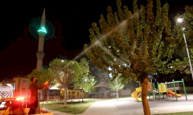 Nizip Belediyesi Haşerelerle Mücadele Ediyor Nizip Belediyesi Haşerelerle Mücadele Ediyor