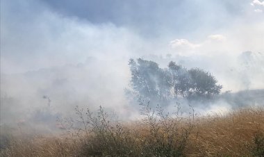 Nizip'te orman yangını