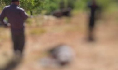 Tarla sürerken traktörün altıda kalan çiftçi hayatını kaybetti Tarla sürerken traktörün altıda kalan çiftçi hayatını kaybetti