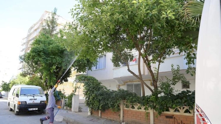 Nizip Belediyesi’nden sinek ve haşerelere karşı mücadele Nizip Belediyesi’nden sinek ve haşerelere karşı mücadele