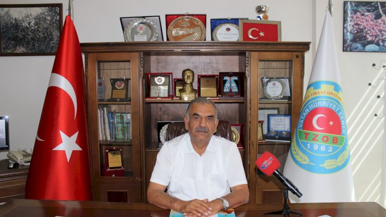 Nizip'te  boz Antep fıstığı hasadı başladı