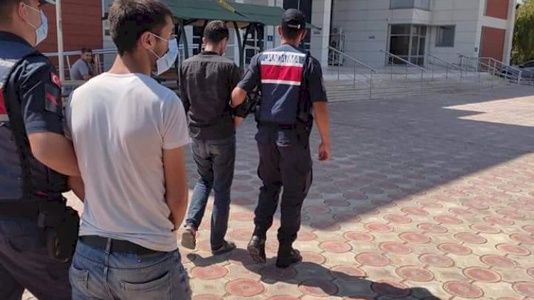 Fıstık Hırsızları Suçüstü Yakaladı