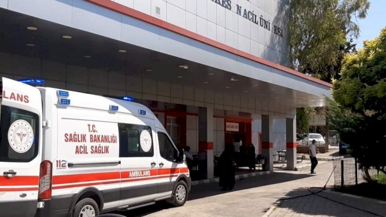 Nizip'te İnek hastanelik etti!