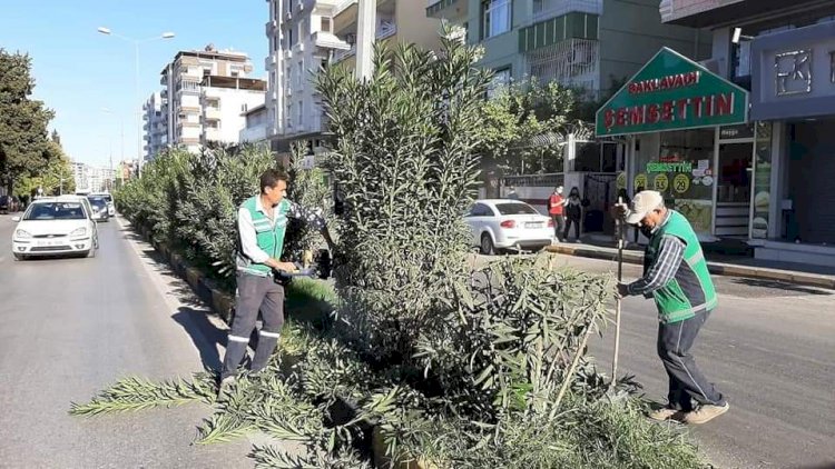 Başkan Sarı, tehlikeyi gördü anında talimat verdi Başkan Sarı, tehlikeyi gördü anında talimat verdi