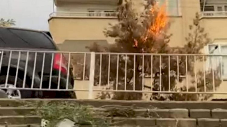 Elektrik telleri ağacı yaktı Elektrik telleri ağacı yaktı