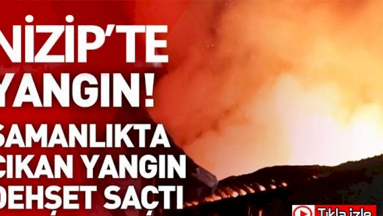 Nizip'te samanlıkta yangın çıktı