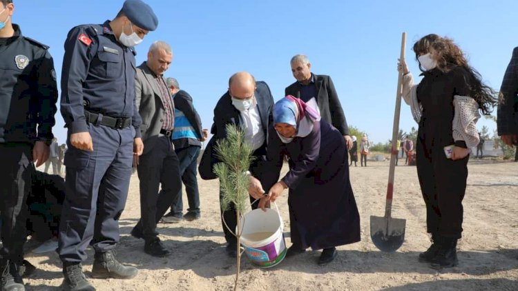 15 Temmuz Şehidi Çakır için hatıra ormanı oluşturuldu 15 Temmuz Şehidi Çakır için hatıra ormanı oluşturuldu