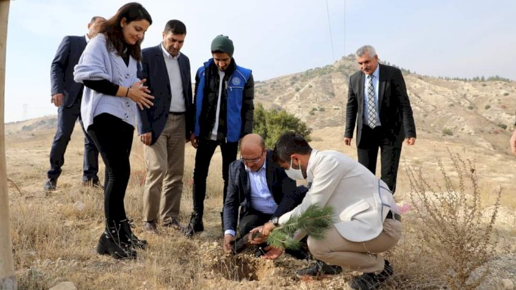 Başkan Sarı, Üniversite öğrencileriyle fidan dikti Başkan Sarı, Üniversite öğrencileriyle fidan dikti
