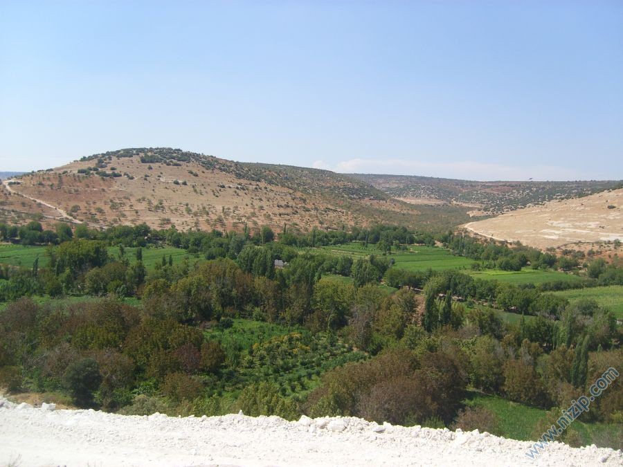 adaklı köyü tarlalar __9574__