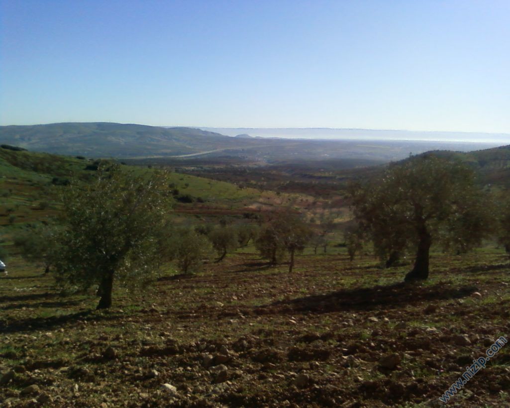 akçakent __13522__Foto