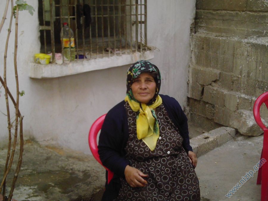 ayyuş 