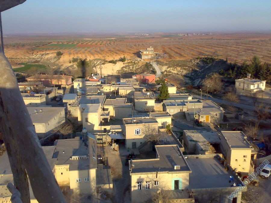 AKKUYU 