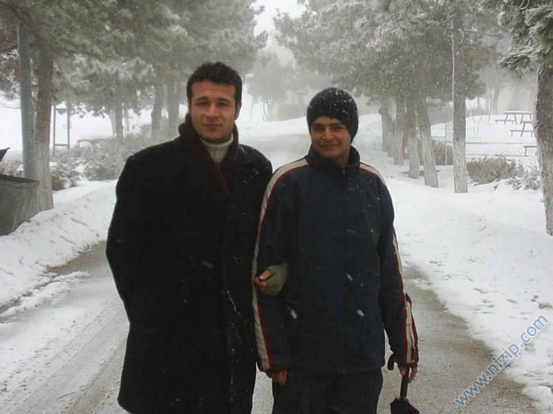 amca oğlu 