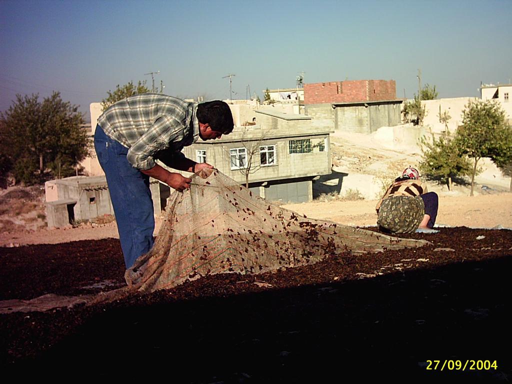 USTA 