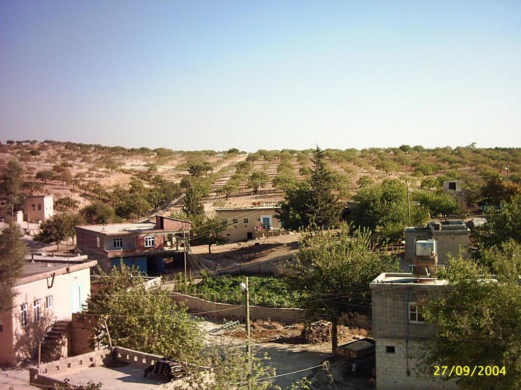 AKKUYU 