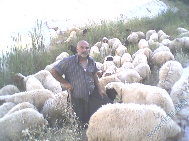 Erol BAKIR 