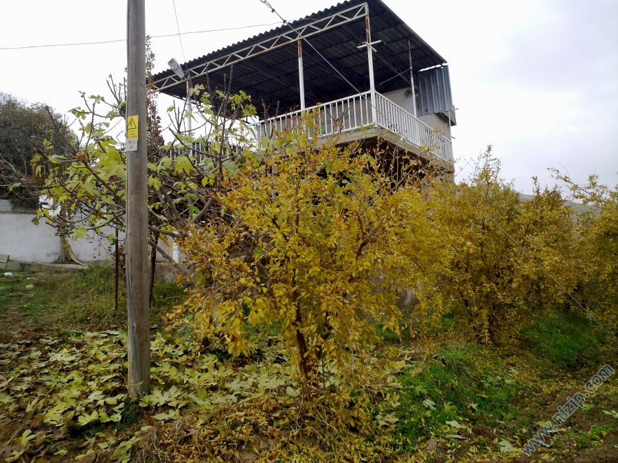 ALI BABANIN EVI 