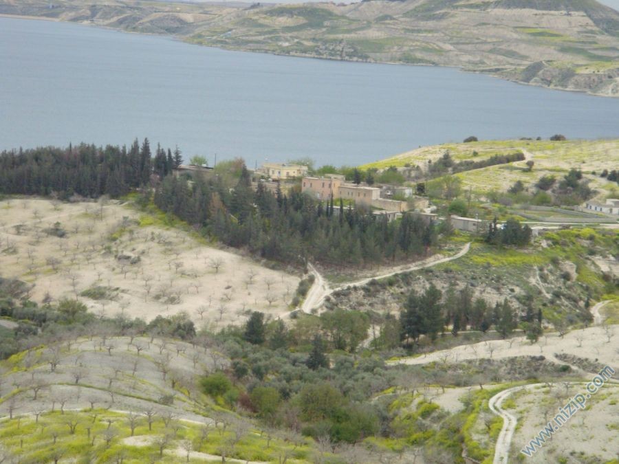 cardak 