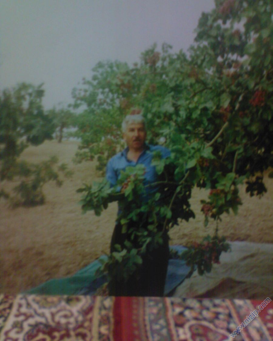 Müslüm Kılınç 