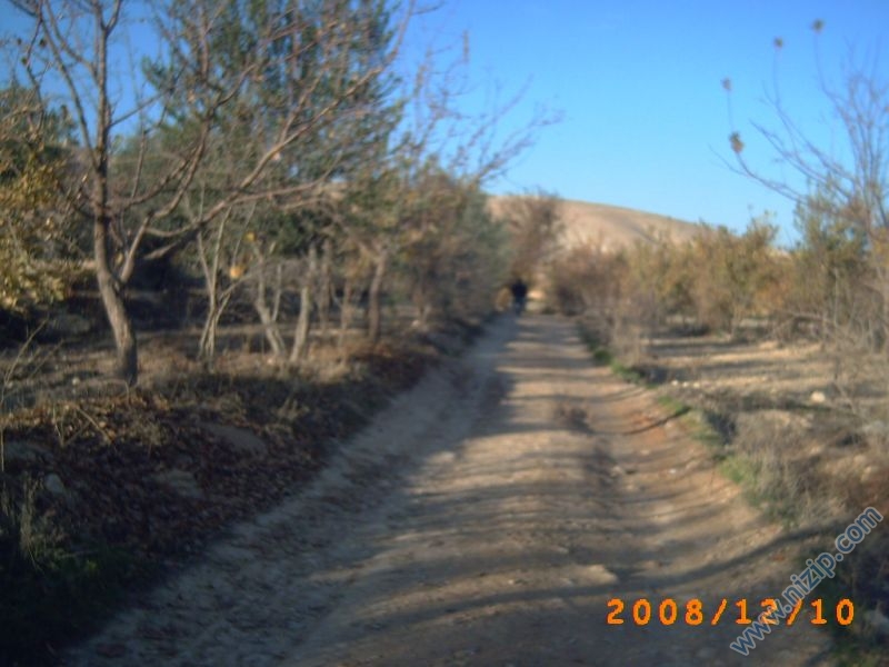 horum bölgesi 