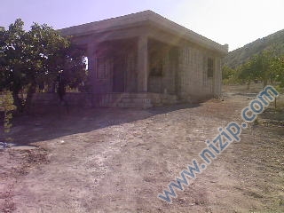 aşagı cardak 