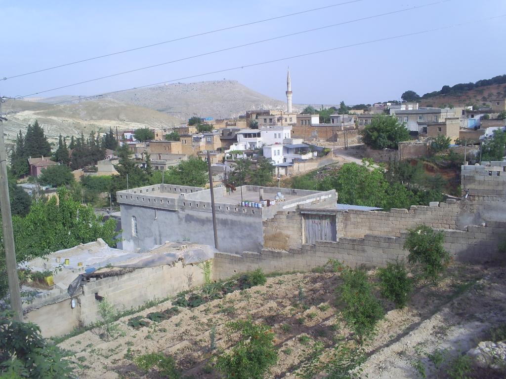 Aşağıçardak 