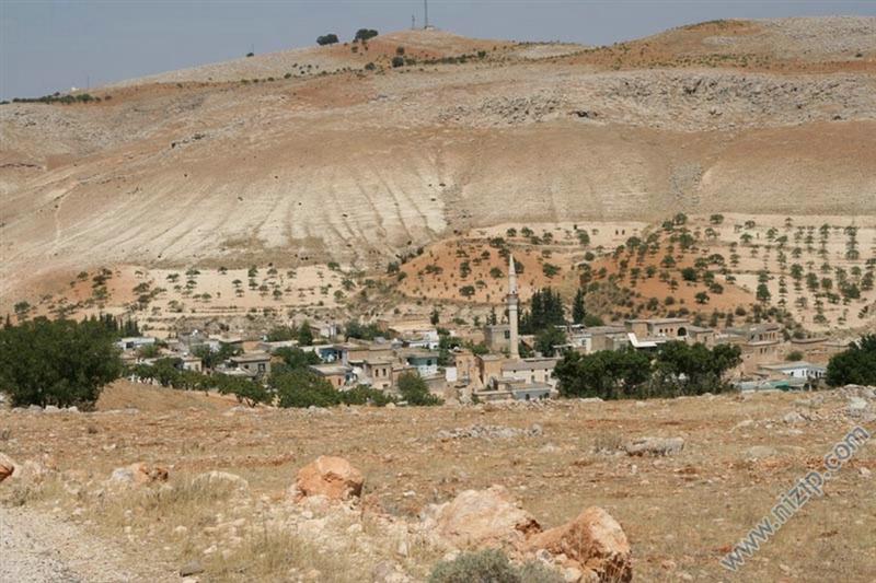 Aşağı çardak köyü 