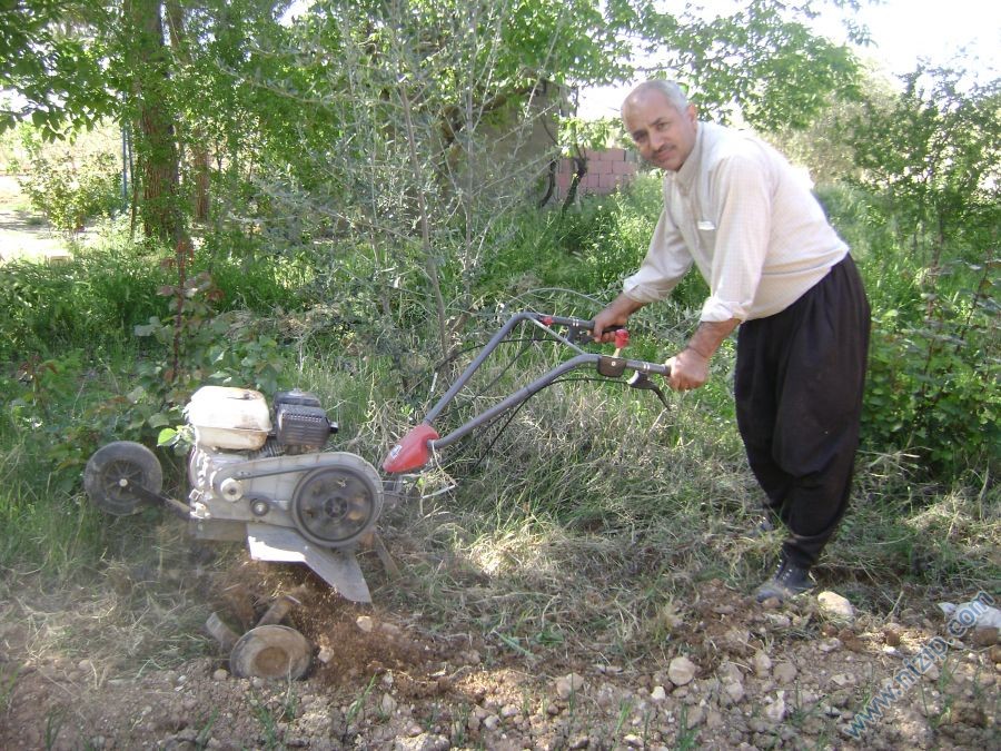 celal şeker 