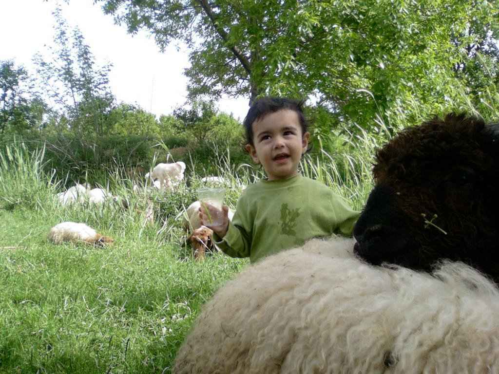 bizim köyün çobanı 