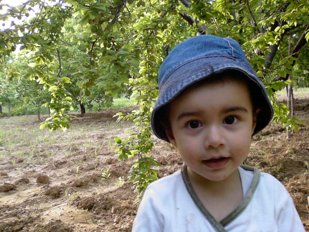 ERİK AĞACI  VE AYŞENUR 