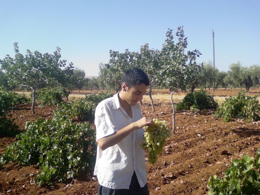 BAĞ 