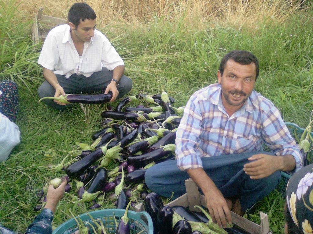 BALCAN TOPLAMA 