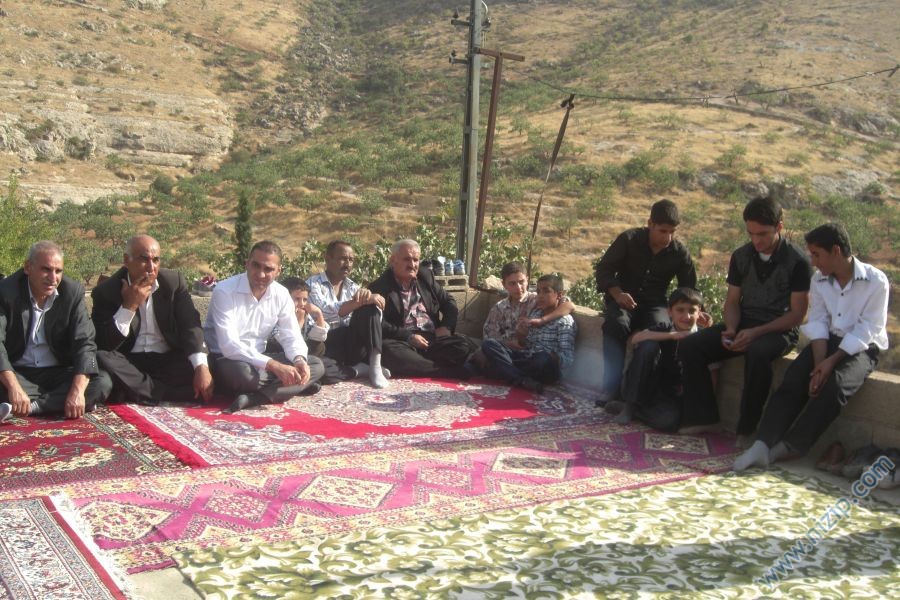balli habib 