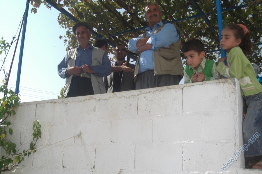 balli habib 