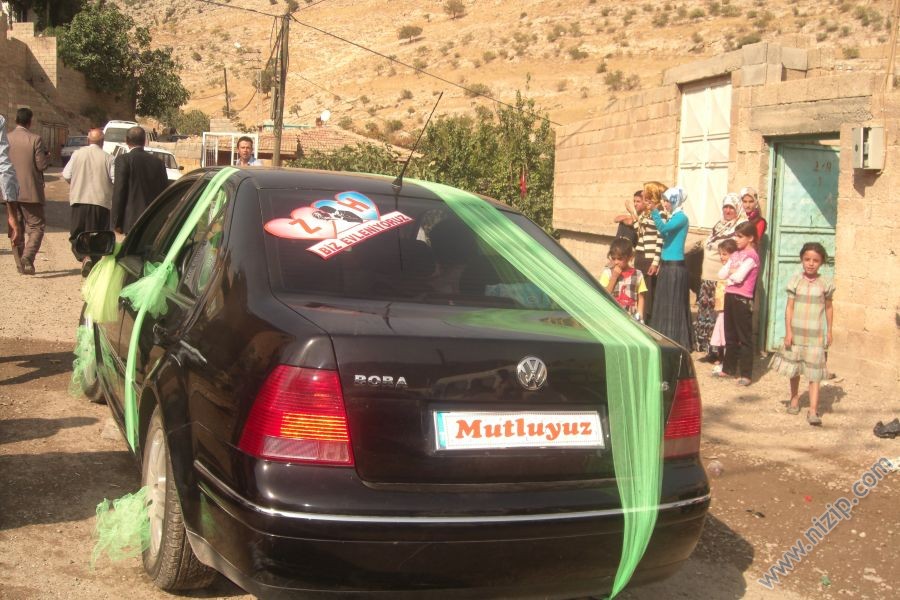 balli habib 