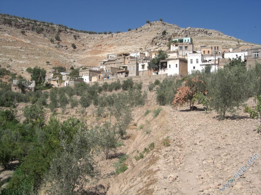 balli köyü 
