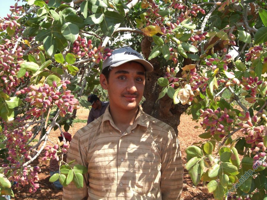 ibrahim aslan 