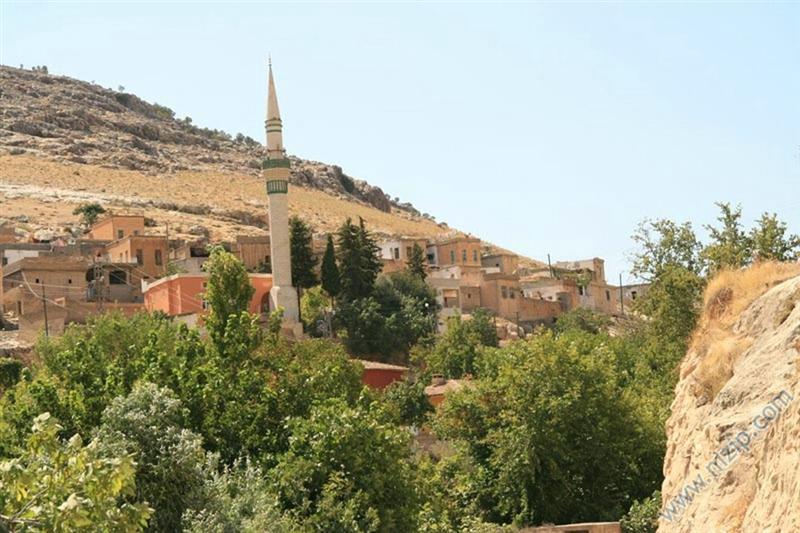 Ballı köyü 