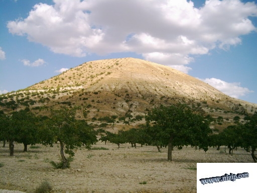 Belkıs Köyü höyüğü 