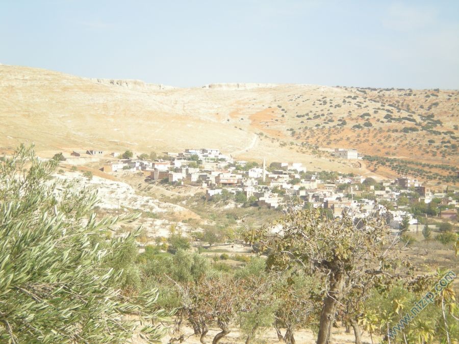 çanakcı köyü 