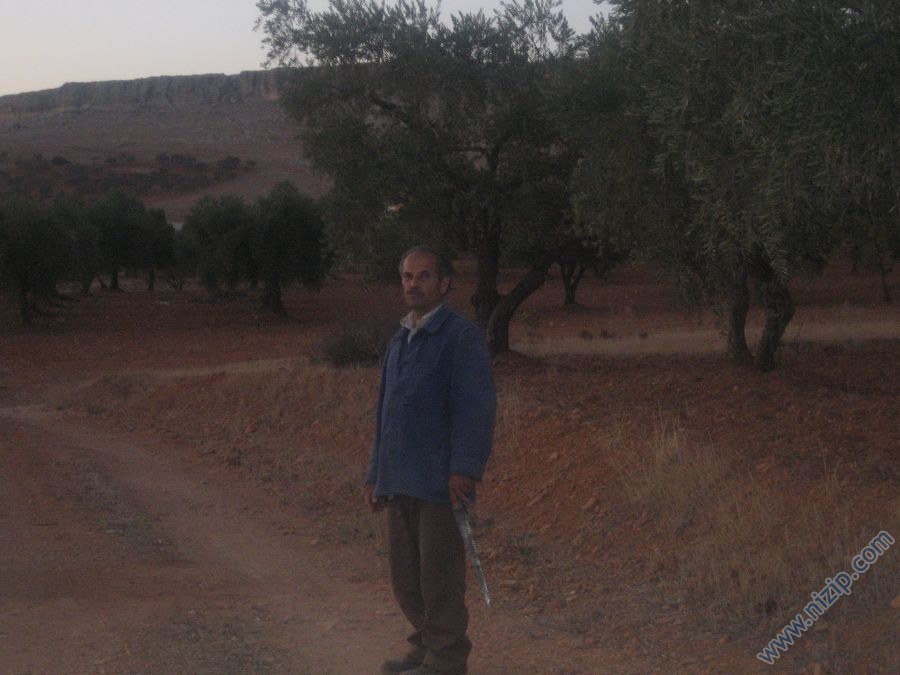 Mustafa Kaya 