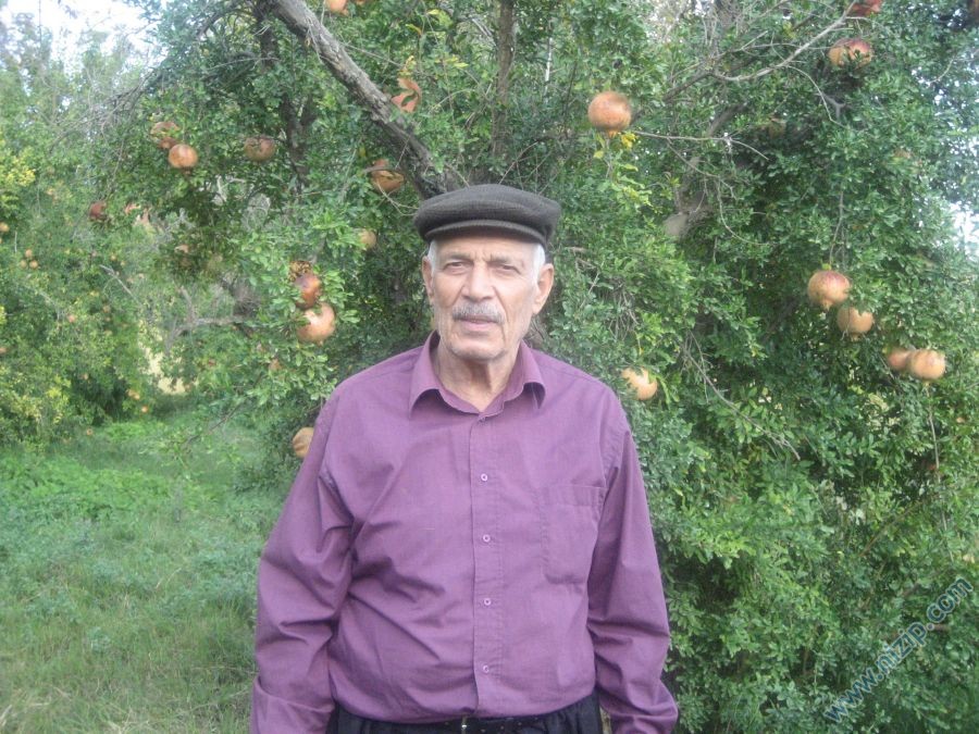 ismet dogan 