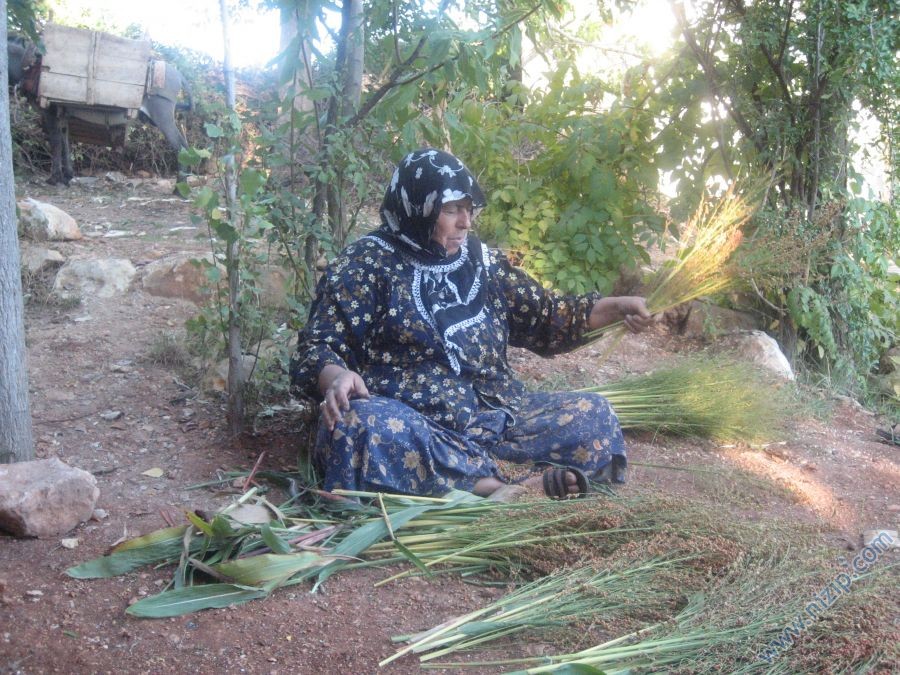 Fatma izci 