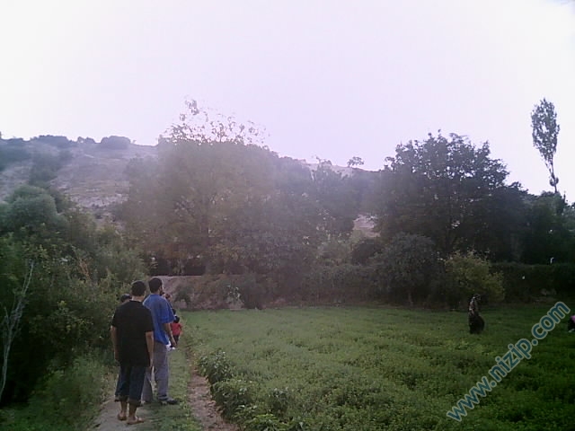 bahce 